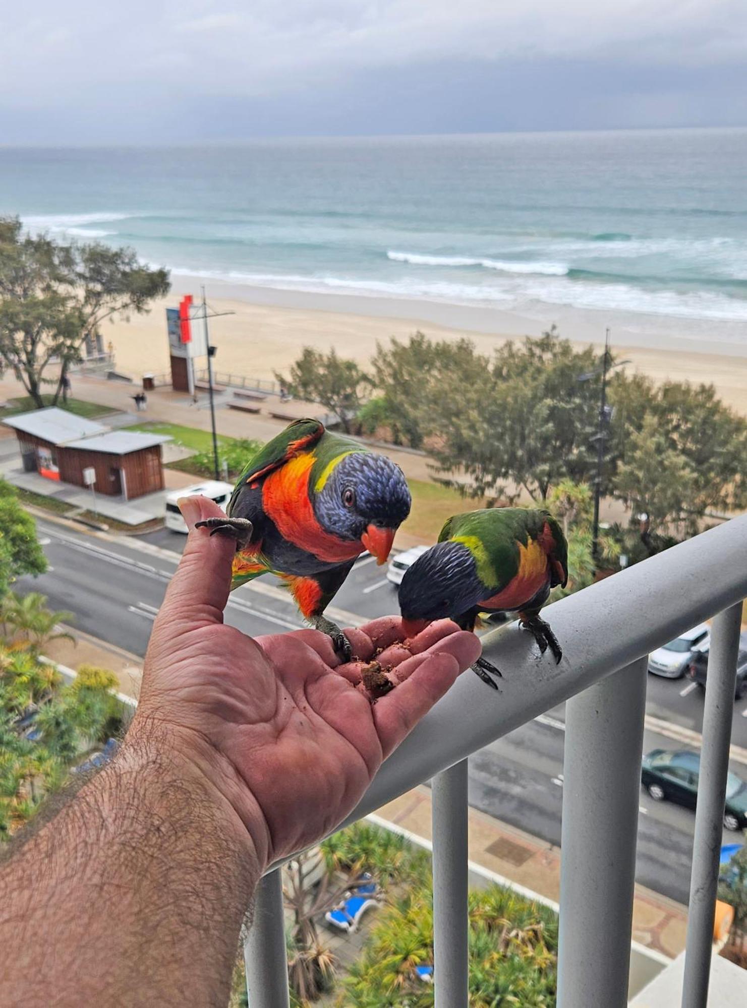 Beachfront Studio Gold Coast Extérieur photo